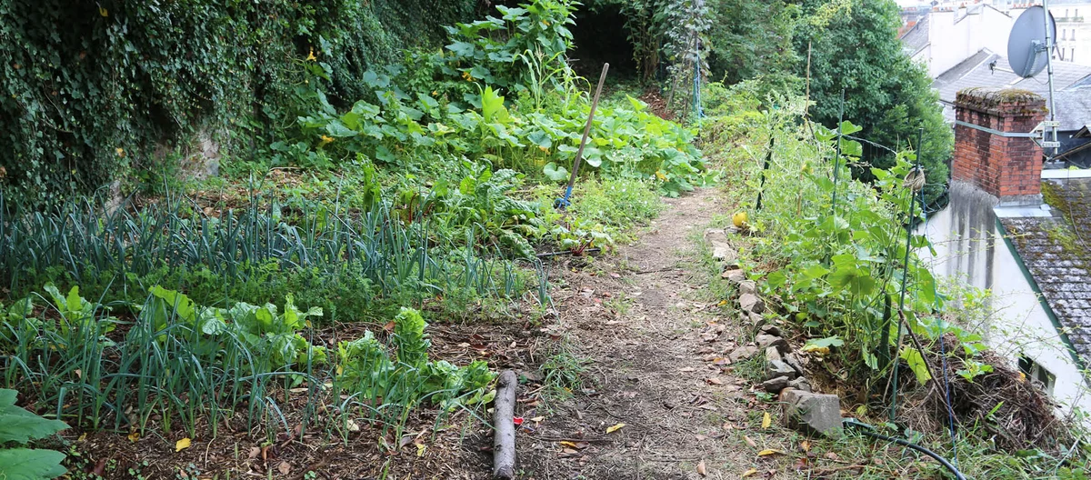 Начало работы с огородом | Terra Potager